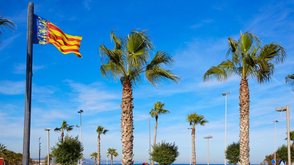 ¿Por qué una guía oficial transforma tus excursiones en Valencia?